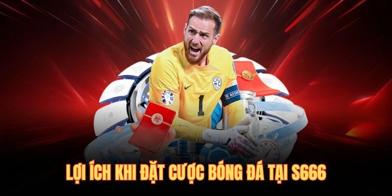 Lợi ích khi đặt cược bóng đá tại S666
