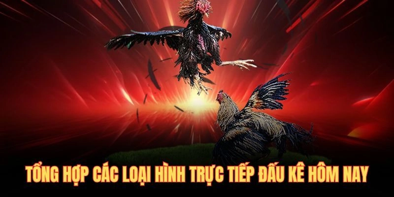 Tổng hợp các loại hình trực tiếp đấu kê hôm nay