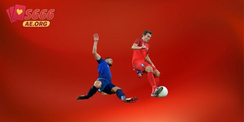 Người chơi không có kiến thức và kinh nghiệm cá độ dẫn đến thua cược